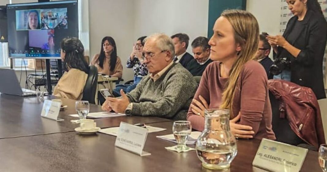 Luciana Echevarría en la comisión de seguridad durante el debate del proyecto de ley anti protesta
