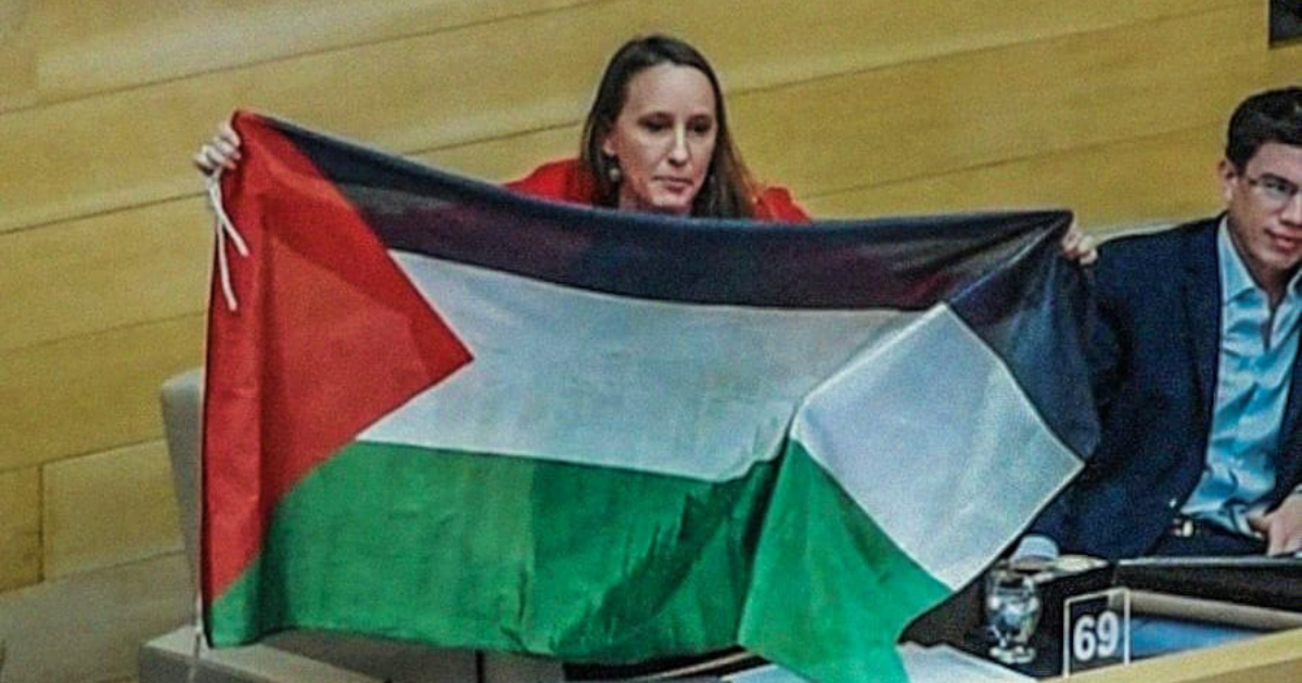 Luciana desplegó la bandera de Palestina en el recinto de la Legislatura