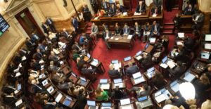 La sesión en el Senado y la movilización popular contra la ley de Sturzenegger